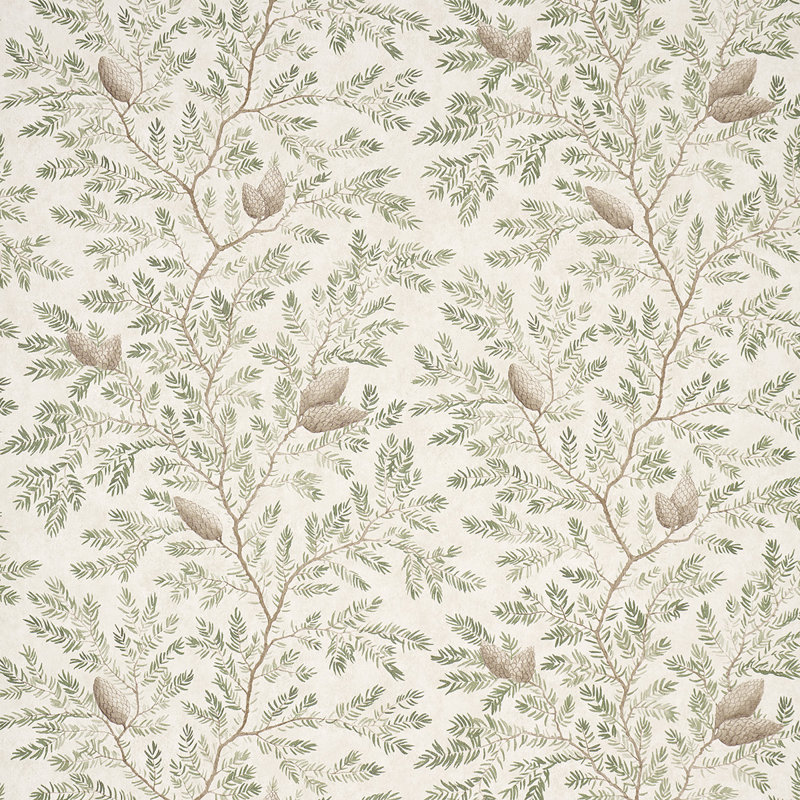 Papier peint Pinewood, Épicéa