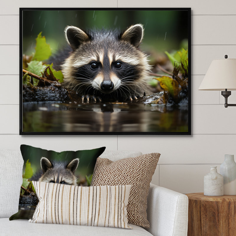 Curious Raccoon I - Animals Canvas Prints, Cadre flottant noir, H 24 po x l 32 po x P 1 po