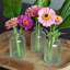 Mini vases en os Arneson