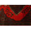 Tapis rouge Konya Anatolian 3 pi 7 po x 12 pi 8 po