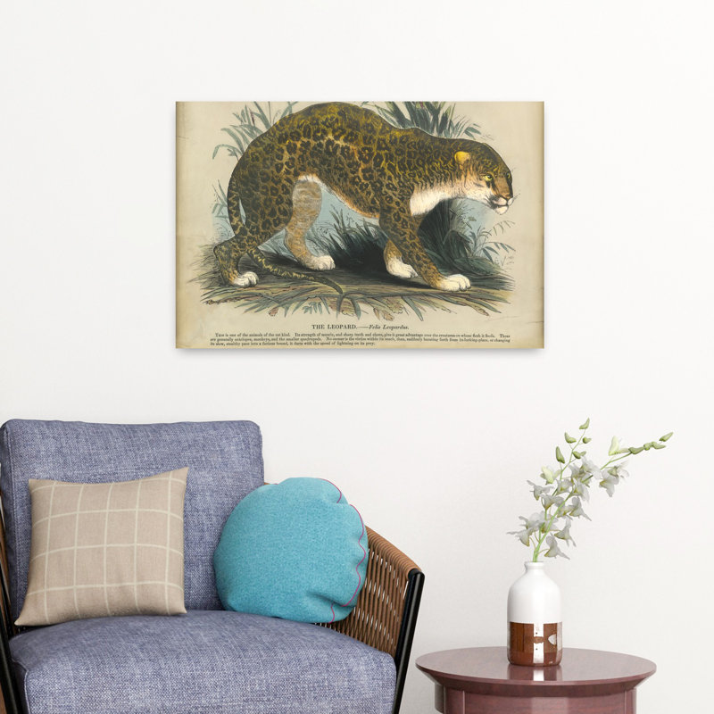 Léopard - reproduction d'art à la demande sur toile, H 16 po x l 24 po