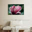 Fleur de magnolia Harnek en fleurs-107858933