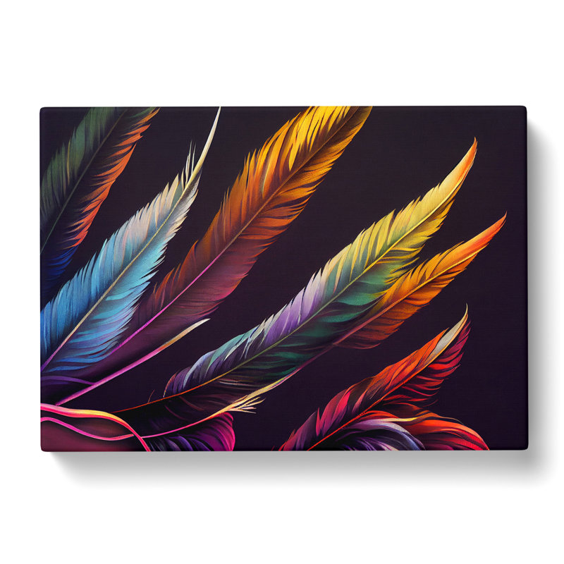 Exclusive Bird Feathers - Wrapped Canvas Print, 50cm H x 76cm W x 3cm D