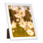 Cadre photo Kempson-378226567-350320306
