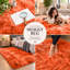 Adela Standard Shag Area Rug-761311170