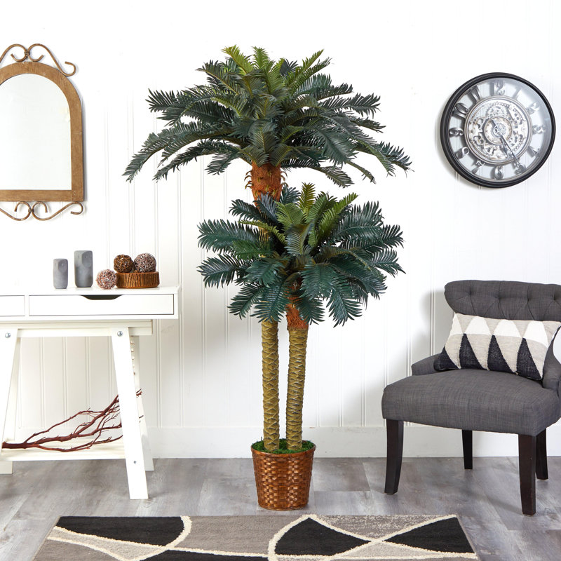 Double Potted Sago Palm Silk Tree