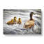 Ducklings with Mother Duck - Wrapped Canvas-55313381