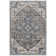 Hodder Oriental Indoor Rug