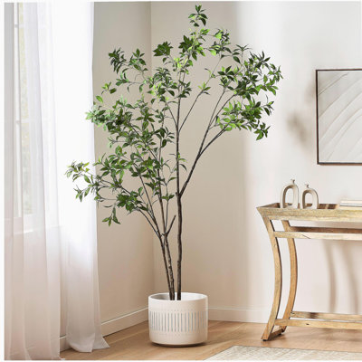 210Cmartificial Pieris Tree
