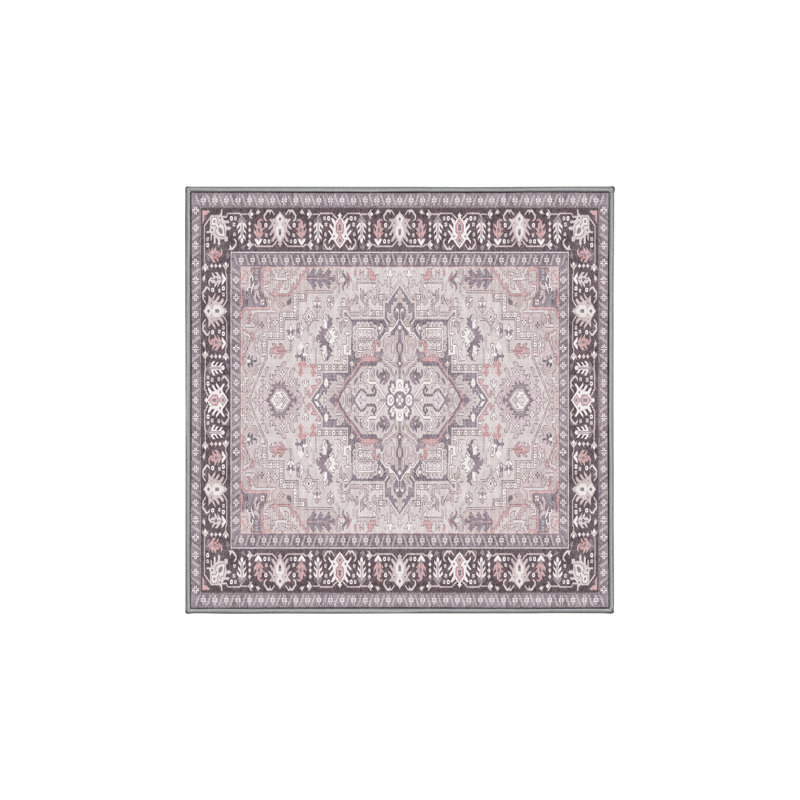 Floriane Hand Loomed Washable Oriental Indoor Rug, Square 6'