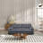 66" Queen Pull-Out Sofa Bed, 3-In-1 Convertible Sleeper Sofa, Multi-Functional Velvet Loveseat Bed, Perfect for Living Room, Bedroom, Apartment, Office - New Larger Size-1234166902