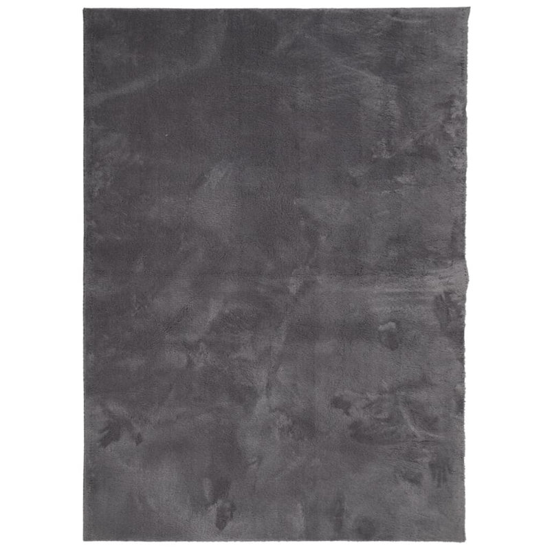 Rug "HUARTE" Short Pile Soft and Washable Anthracite, Rectangle 240 x 340cm