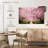 Harnek Walk Through Sakura Lane-107946549