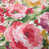 Gree/Pink Floral 100% Polyester