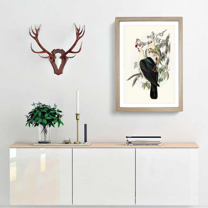 White-Headed Fruit Pigeons by Elizabeth Gould - Framed Print, Oak Framed, 65cm H x 48cm W x 2cm D