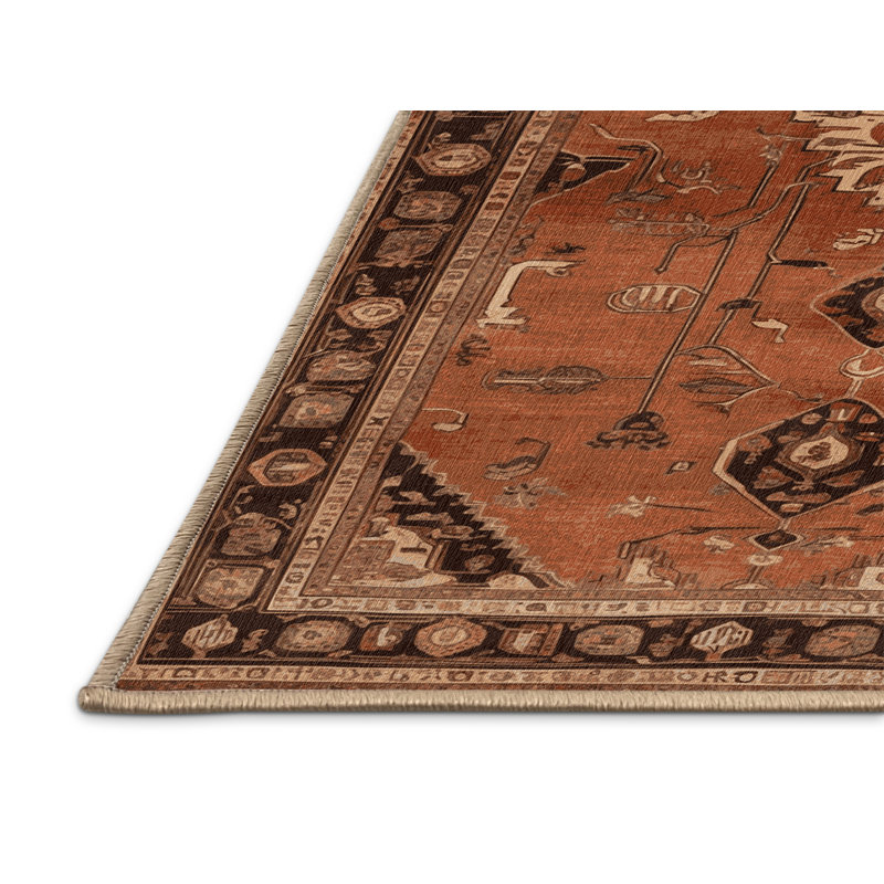 Tapis brun lavable à la machine, Rectangulaire 2 pi x 3 pi