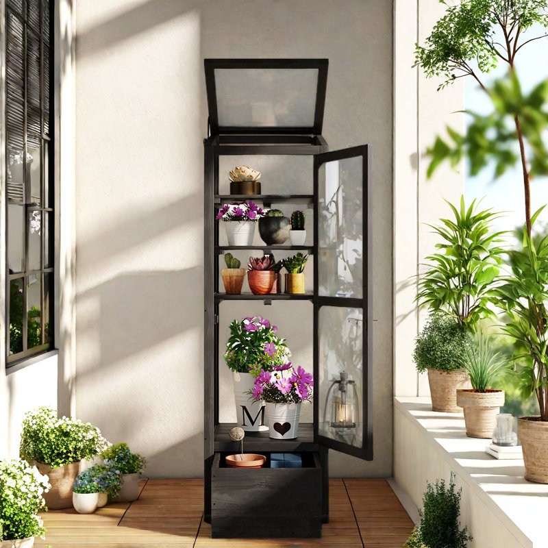 Black Fir Wood Garden Greenhouse with Adjustable Shelves and Storage Box