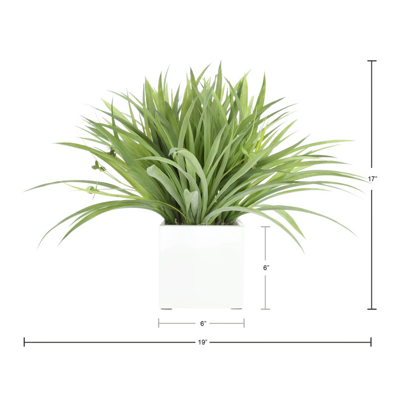 Decorative Grass In Ceramic Vase