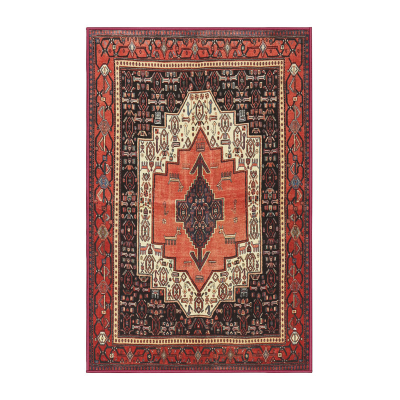 Oriental Indoor Rug, Rectangle 6' x 9'