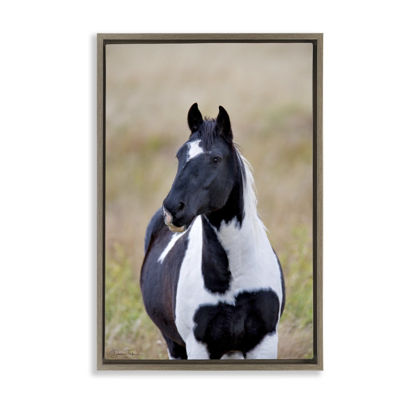 Black & White Foal Canvas by Dennis Frates, Montalcino Elm Floater Frame, 31" H x 21" W