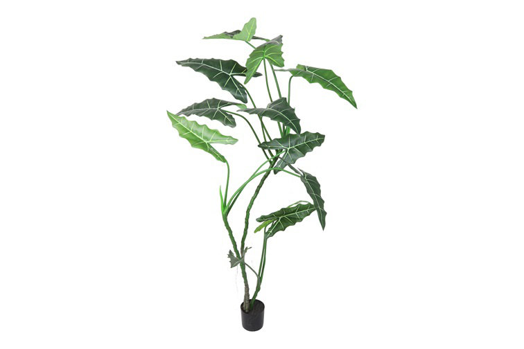 Faux Alocasia Plant in Planter, 210cm H x 160cm W x 160cm D, 38