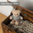 Cadesha Kids Toy Box Wooden Storage Chest With Safety Hinge-1414984673