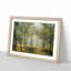 Landscape Forest Woodland View in the Spring Framed Print-18868588