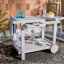 Chariot-bar Galien-1795961599