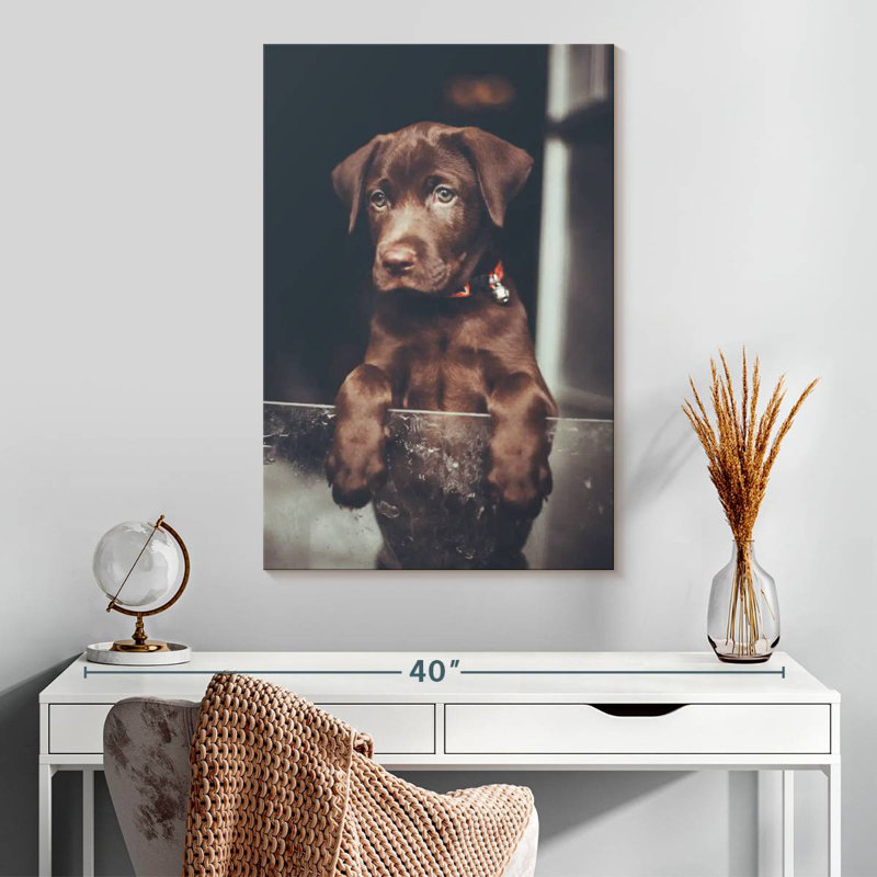Brampt Chocolate Labrador Puppy, 30" H x 20" W