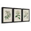 Antique Turpin Botanical VII - Ensemble de 3 peintures sur toile encadrées-1789316823-1789316826