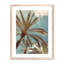 Palm II Framed Photographic Print-48619991-48619994