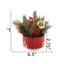 Arrangement floral de Noël en pot-1363947668-1363918559
