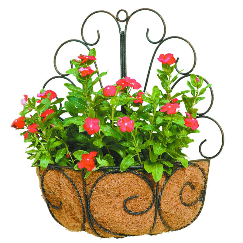 Rieth Metal Wall Planter, Black