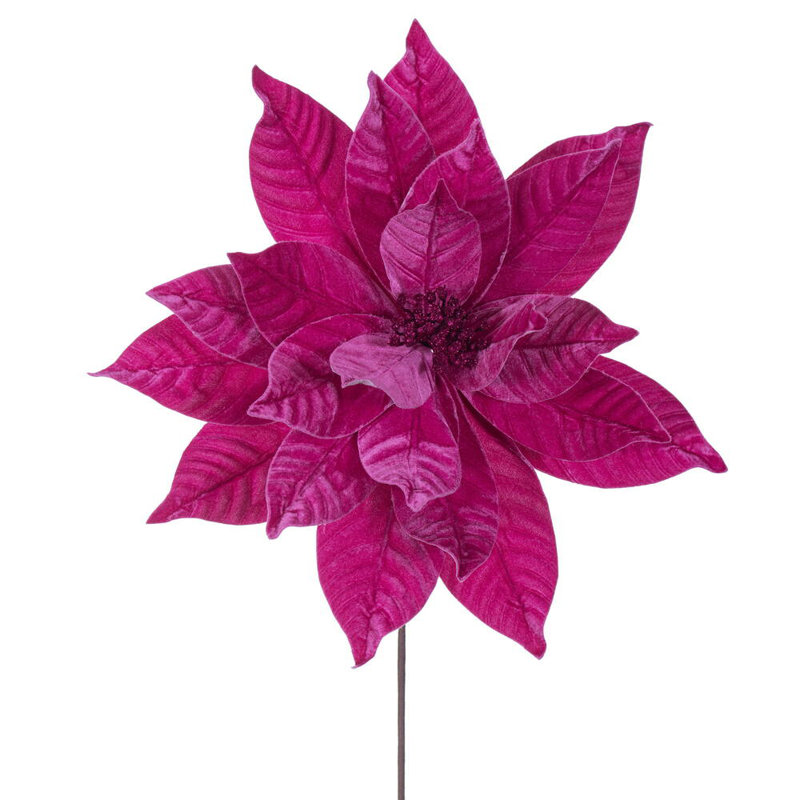 Tiges de poinsettia Clementina, Rose vif