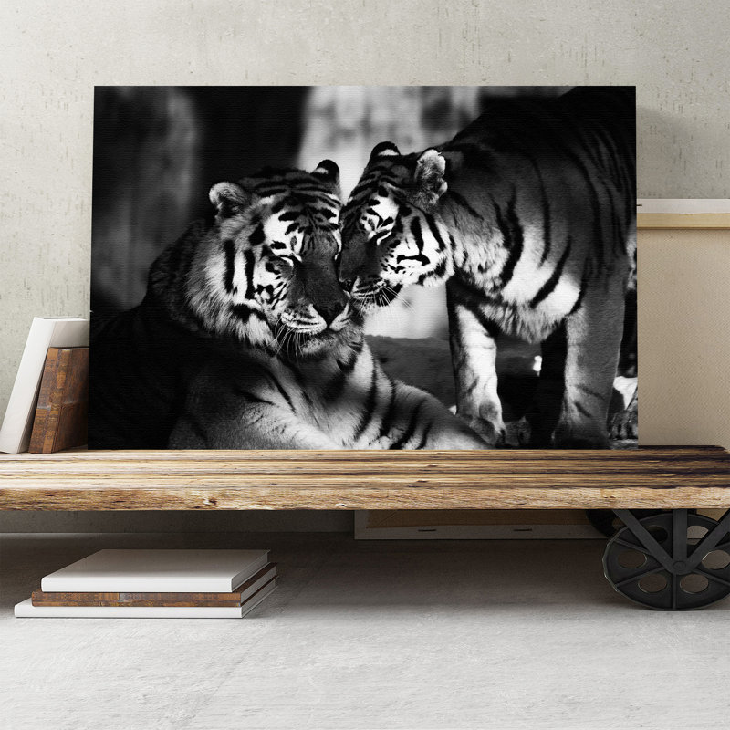 Photographic - Wrapped Canvas, 50cm H x 76cm W
