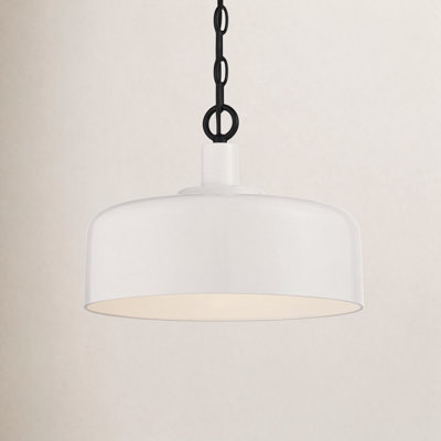 Dellar 14" W 1-Light Steel Pendant