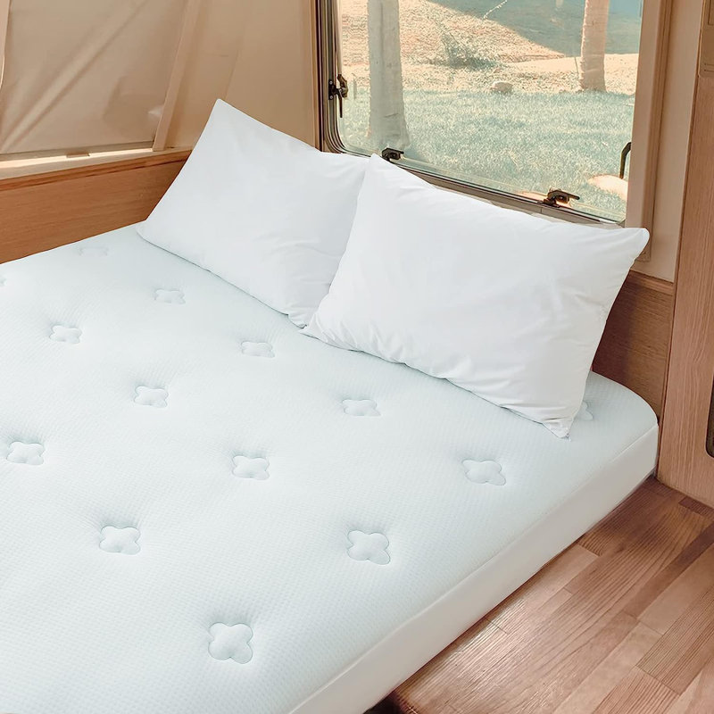 Matelas en mousse viscoélastique moelleuse 2 po Alwyn Home Oreana, Grand