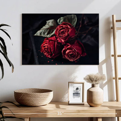 Hitzel Dried Red Roses