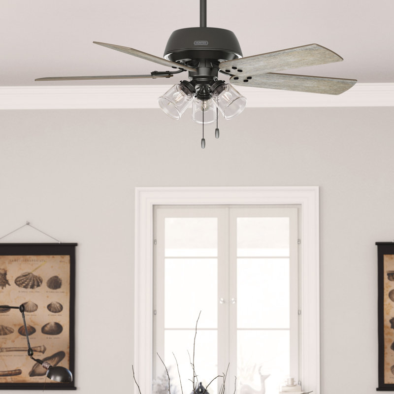Ventilateur de plafond 52 pales 52 po avec ensemble de lumières DEL et chaîne à tirer Shady Grove, Gris noir