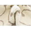 Vigne Ivoire/brun clair Tapis décoratif-40286776