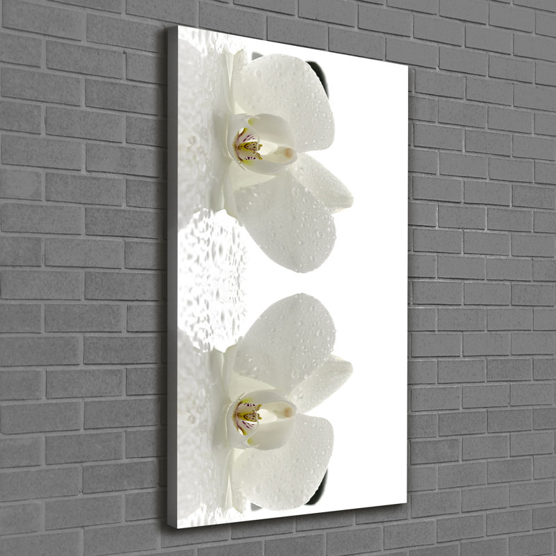 Orchid And Stones - Wrapped Canvas Print