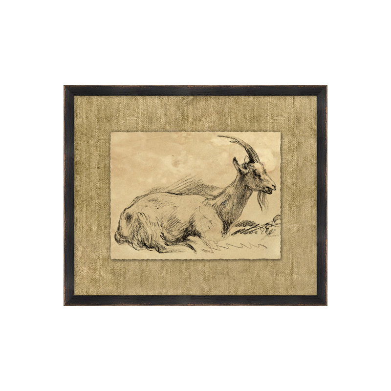 Charcoal Animal Collection 1 Print