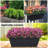 10 Pack Plastic Vegetable Flower Window Box Planter-411582133