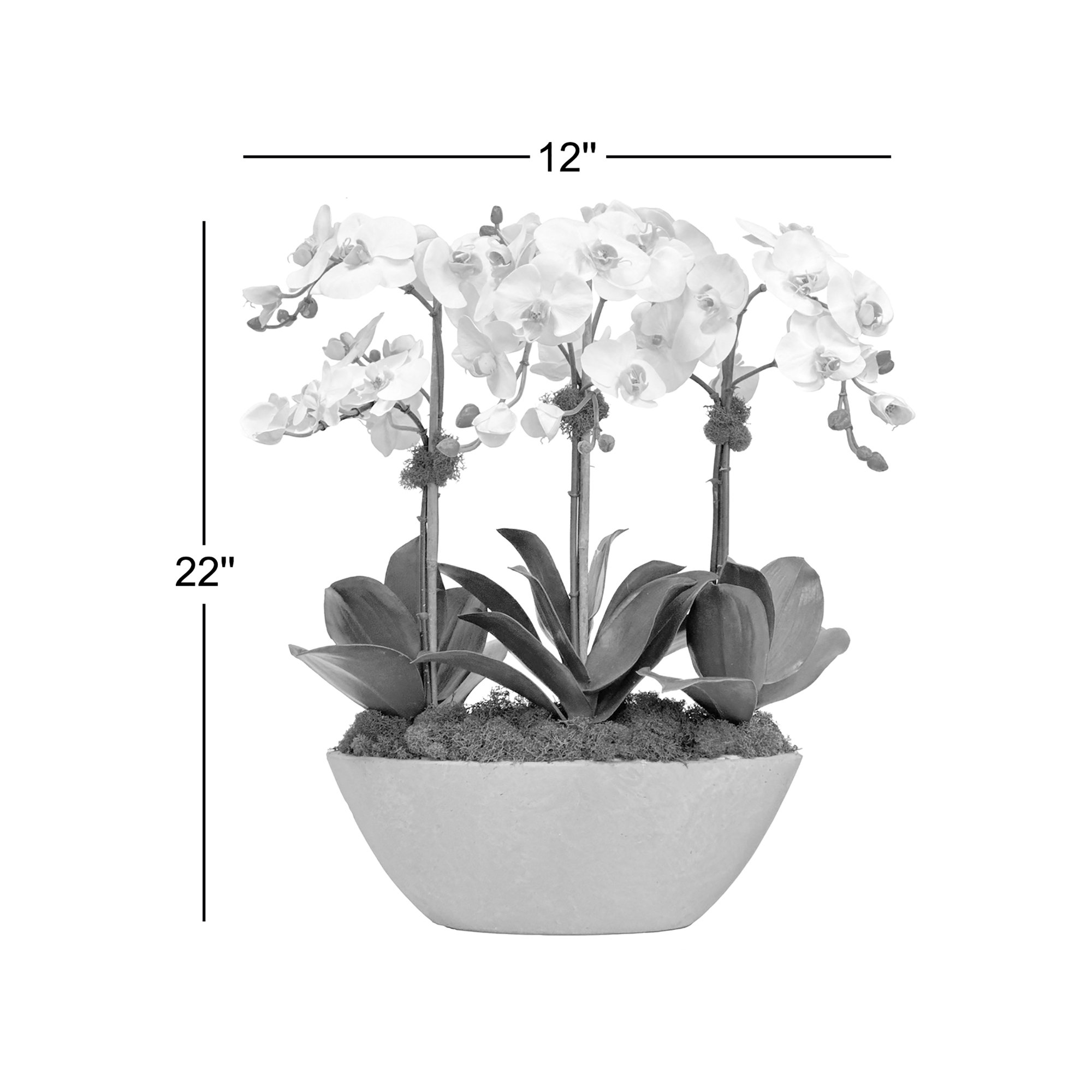 Arrangement in Pot