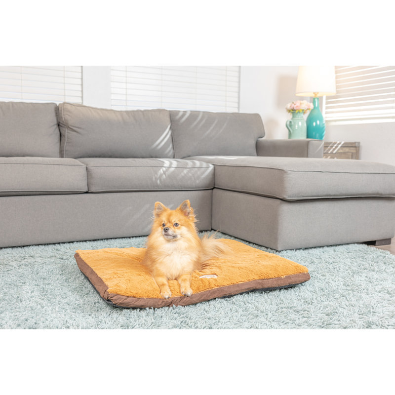 Medium Mocha and Earth Brown Faux Suede Orthopedic Pet Bed