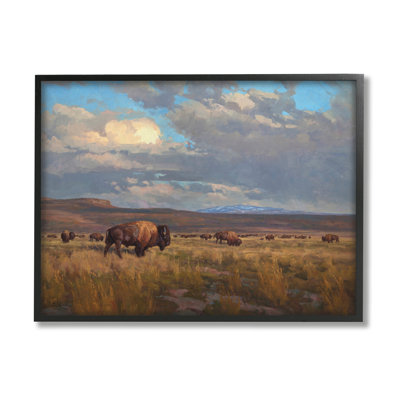 Az-385 - Paysage nuageux Buffalo
