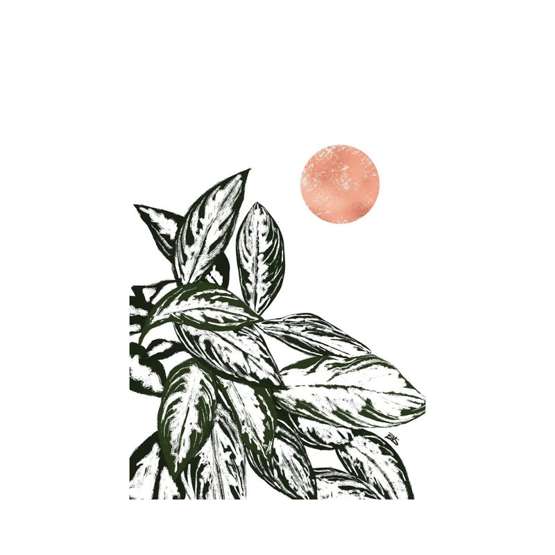 Calas I (Rose Gold) by Bria Nicole - Print on Canvas, Wrapped Canvas, 66.04 cm H x 45.72 cm W x 1.91 cm D