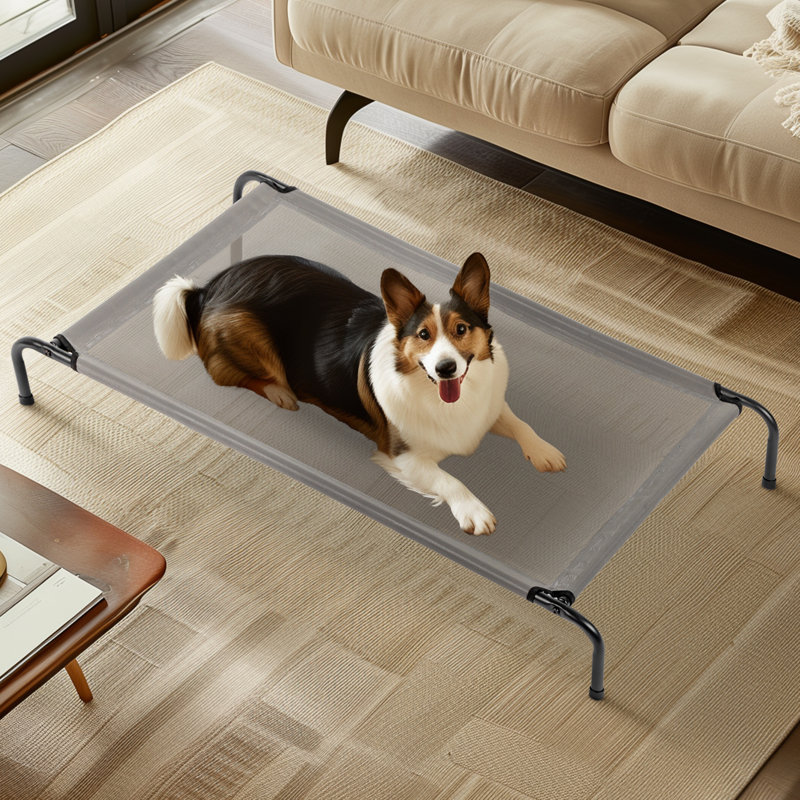 Lit pour animal de compagnie portable intérieur / extérieur gris avec pieds antidérapants Teslin, H 8 po x l 50 po x P 31 po