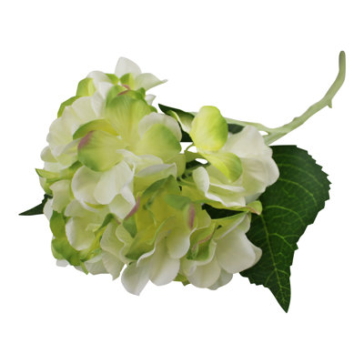 Hydrangea Arrangement