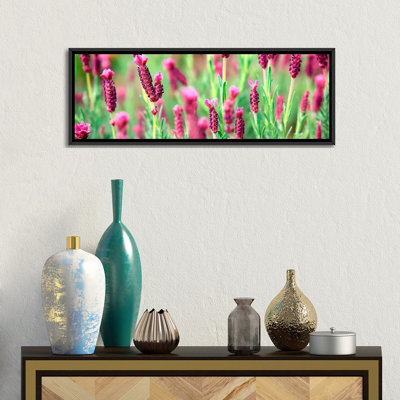 «High Angle View of Italian Lavender», reproduction de photo sur toile